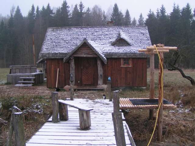 Дома для отпуска Dom z Sauną - Ługiele Dzierwiany-26